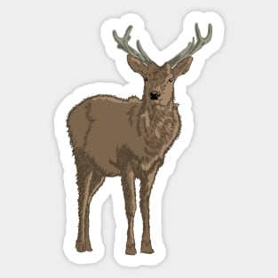 Reindeer Sticker